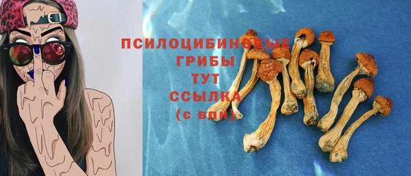 мяу мяу кристалл Алексин